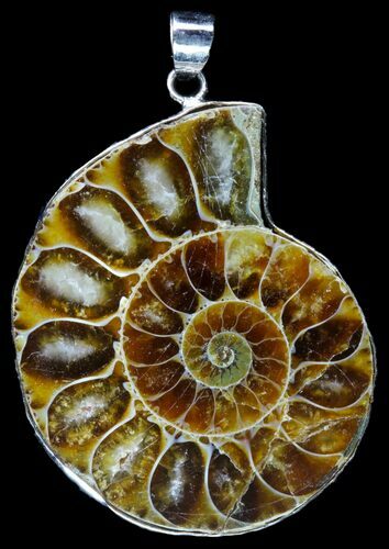 Fossil Ammonite Pendant - Million Years Old #89875